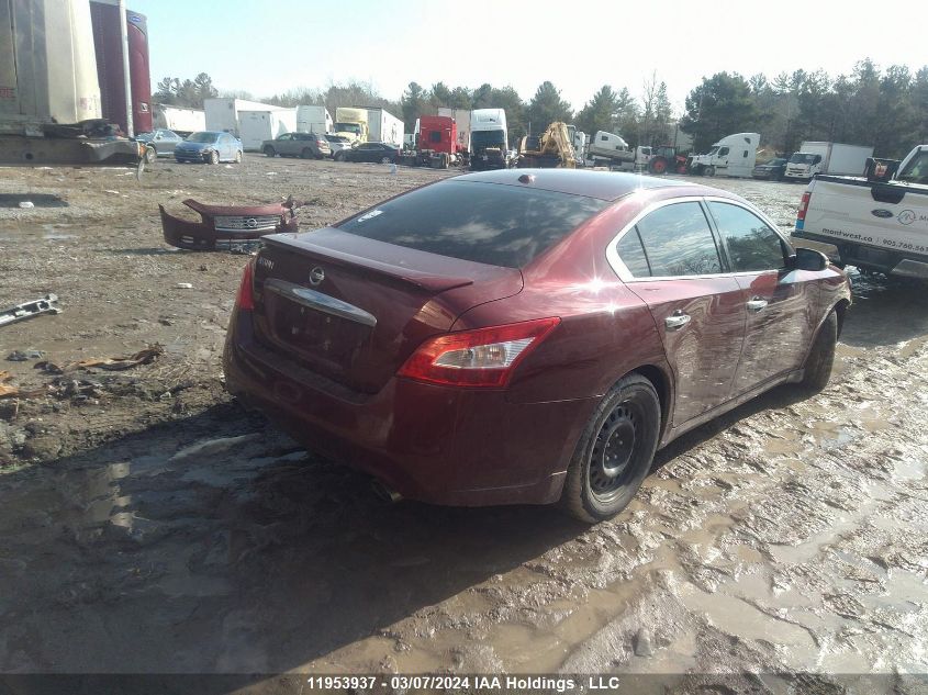 2009 Nissan Maxima S/Sv VIN: 1N4AA51E99C835671 Lot: 11953937