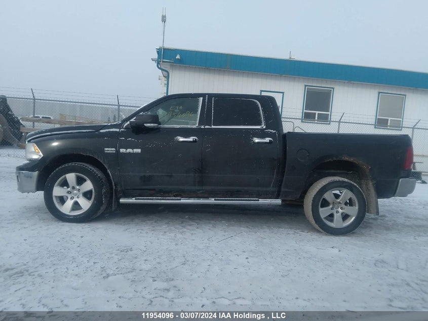 2009 Dodge Ram 1500 VIN: 1D3HV13T19S765436 Lot: 11954096