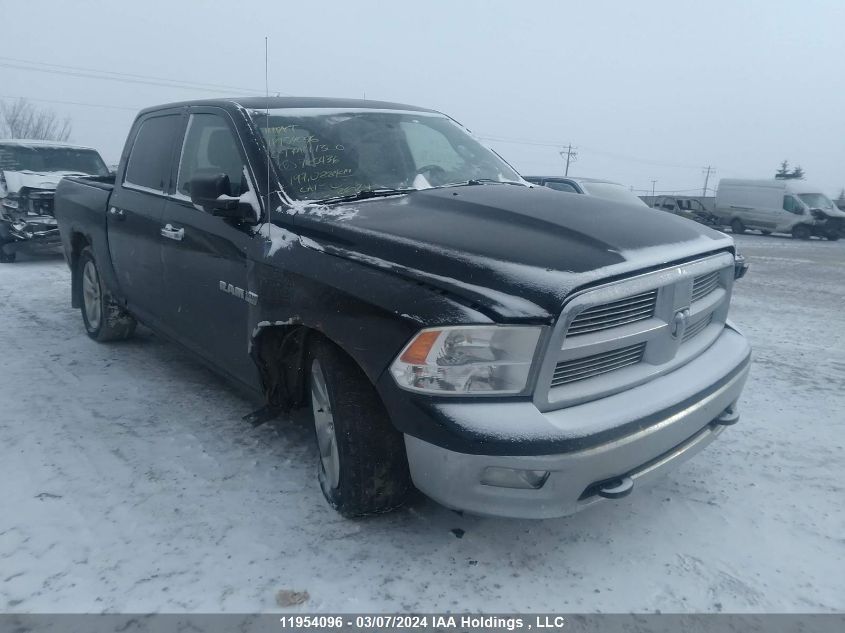 2009 Dodge Ram 1500 VIN: 1D3HV13T19S765436 Lot: 11954096