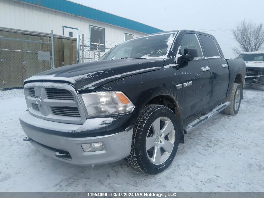 2009 Dodge Ram 1500 VIN: 1D3HV13T19S765436 Lot: 11954096