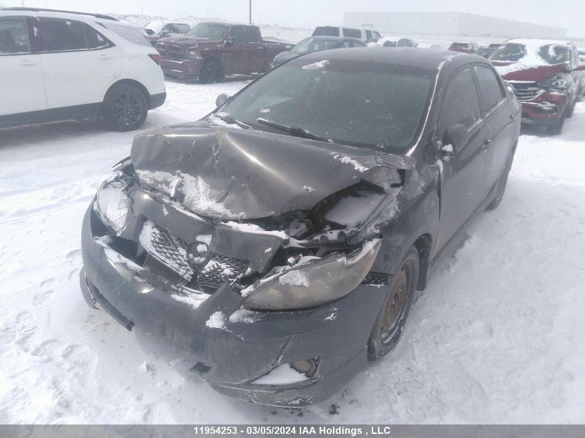 2009 Toyota Corolla Ce/Le/S VIN: 2T1BU40E69C073425 Lot: 49158074