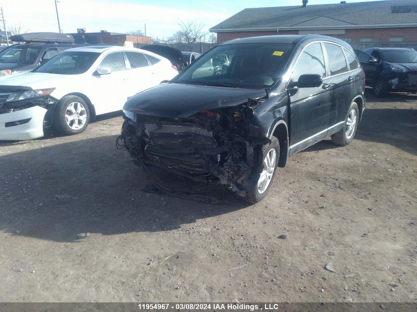 2010 Honda Cr-V Ex VIN: 5J6RE4H51AL802521 Lot: 11954967