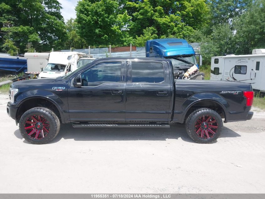 2019 Ford F-150 VIN: 1FTEW1EP6KFC90423 Lot: 11955351