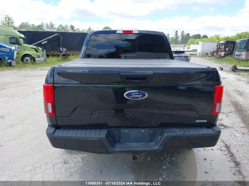 2019 Ford F-150 VIN: 1FTEW1EP6KFC90423 Lot: 11955351