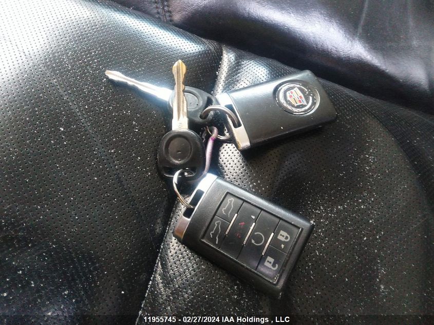 2009 Cadillac Escalade VIN: 1GYFK43579R257095 Lot: 11955745