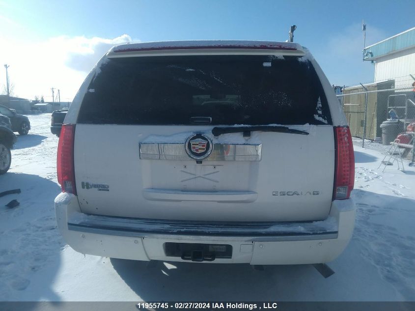 2009 Cadillac Escalade VIN: 1GYFK43579R257095 Lot: 11955745