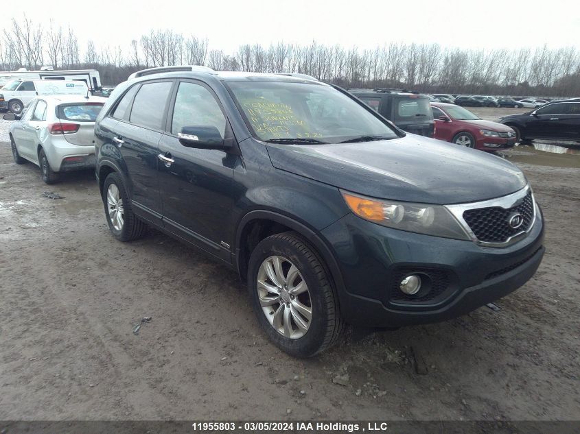 2011 Kia Sorento Ex VIN: 5XYKUCA11BG143560 Lot: 11955803