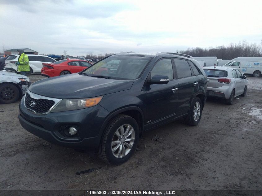 2011 Kia Sorento Ex VIN: 5XYKUCA11BG143560 Lot: 11955803