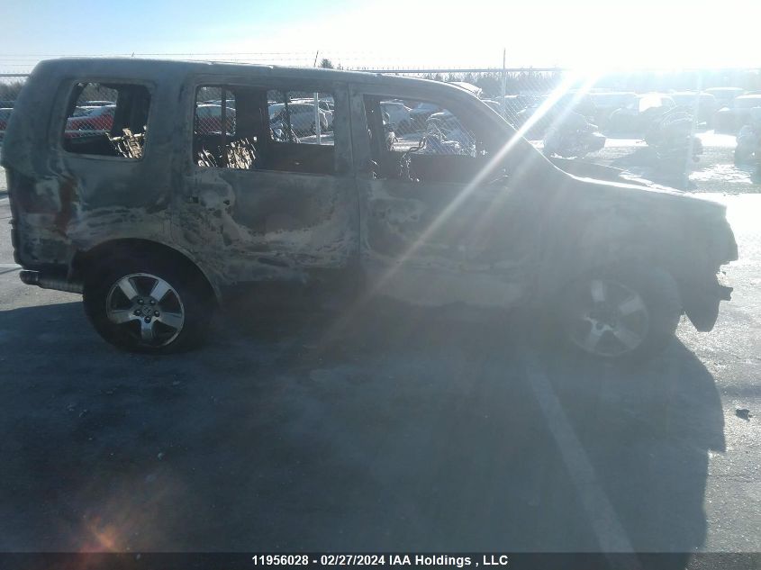 2010 Honda Pilot VIN: 5FNYF4H51AB505055 Lot: 11956028