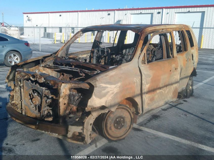 2010 Honda Pilot VIN: 5FNYF4H51AB505055 Lot: 11956028