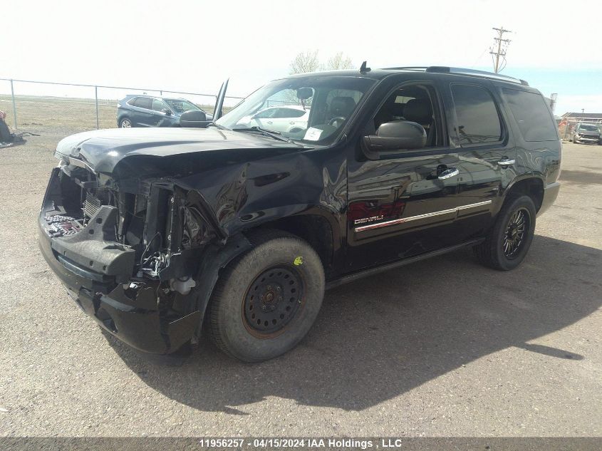 2010 GMC Yukon Denali Denali VIN: 1GKUKEEF0AR155333 Lot: 11956257