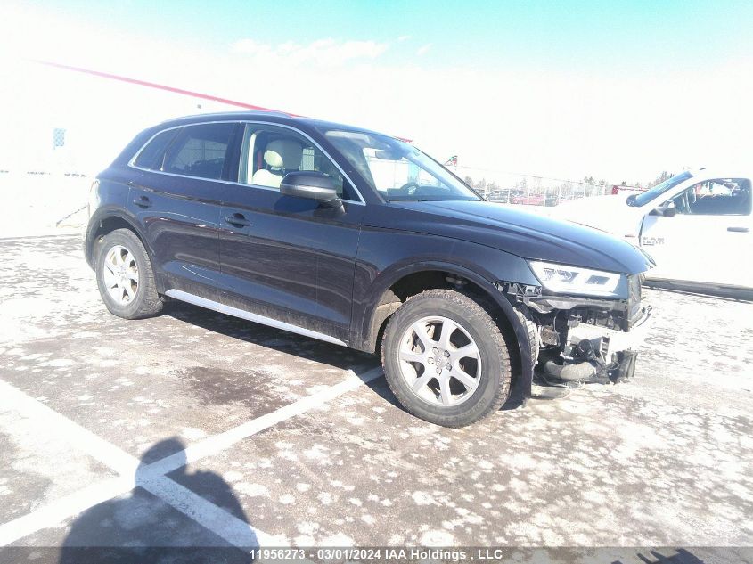 2019 Audi Q5 VIN: WA1CNAFY1K2132798 Lot: 39242881