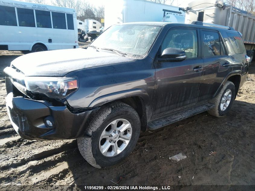 2023 Toyota 4Runner VIN: JTENU5JR5P6156655 Lot: 11956299