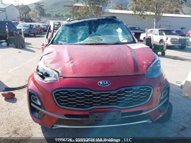 2021 Kia Sportage VIN: KNDPNCAC8M7893557 Lot: 11956724