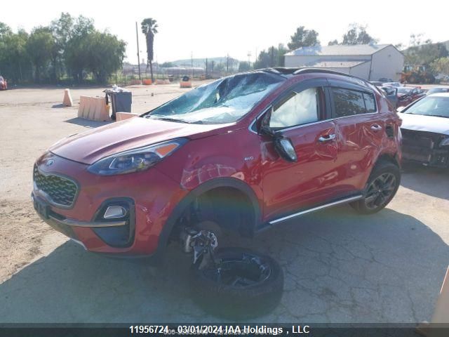 2021 Kia Sportage VIN: KNDPNCAC8M7893557 Lot: 11956724