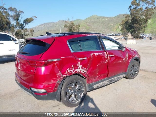 2021 Kia Sportage VIN: KNDPNCAC8M7893557 Lot: 11956724