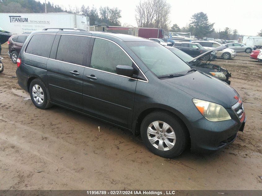 2006 Honda Odyssey VIN: 5FNRL38456B507106 Lot: 11956789