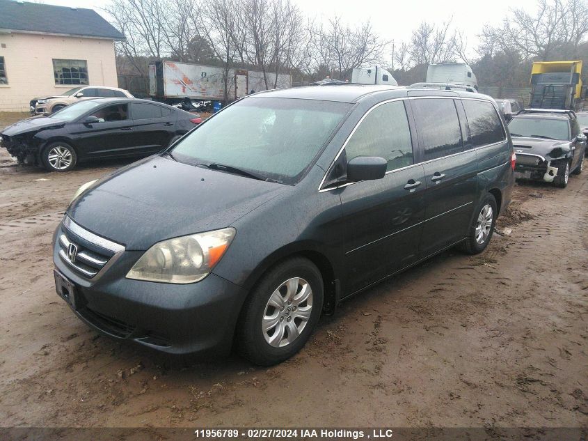 2006 Honda Odyssey VIN: 5FNRL38456B507106 Lot: 11956789