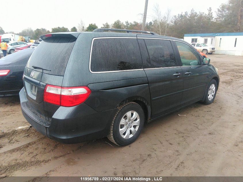 2006 Honda Odyssey VIN: 5FNRL38456B507106 Lot: 11956789