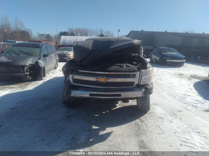 2011 Chevrolet Silverado K1500 Ls VIN: 1GCRKREA3BZ217449 Lot: 11956914