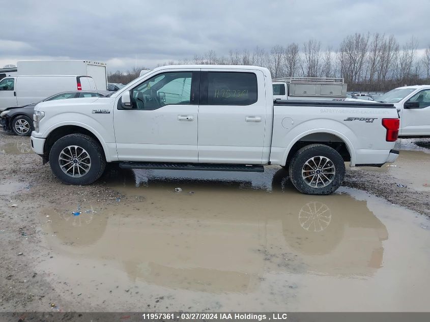 2019 Ford F150 VIN: 1FTEW1EP5KFB93486 Lot: 11957361