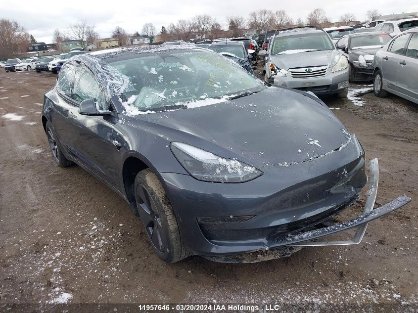 2023 Tesla Model 3 VIN: LRW3E1FA1PC900335 Lot: 11957646