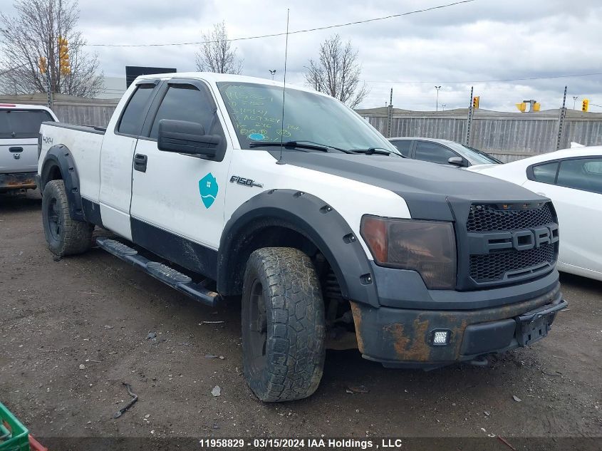 2010 Ford F-150 VIN: 1FTEX1E85AFA59324 Lot: 11958829