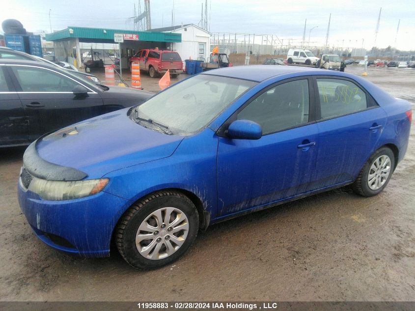 2012 Kia Forte Lx VIN: KNAFT4A2XC5617080 Lot: 11958883