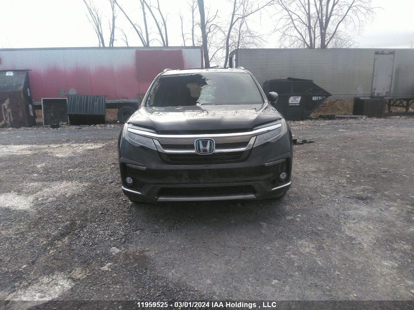 2019 Honda Pilot VIN: 5FNYF6H64KB504035 Lot: 11959525