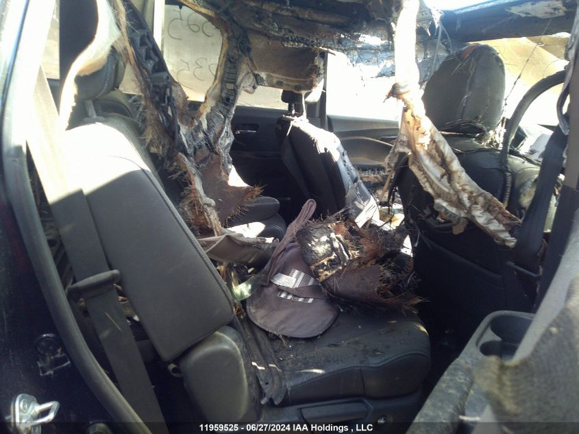 2019 Honda Pilot VIN: 5FNYF6H64KB504035 Lot: 11959525