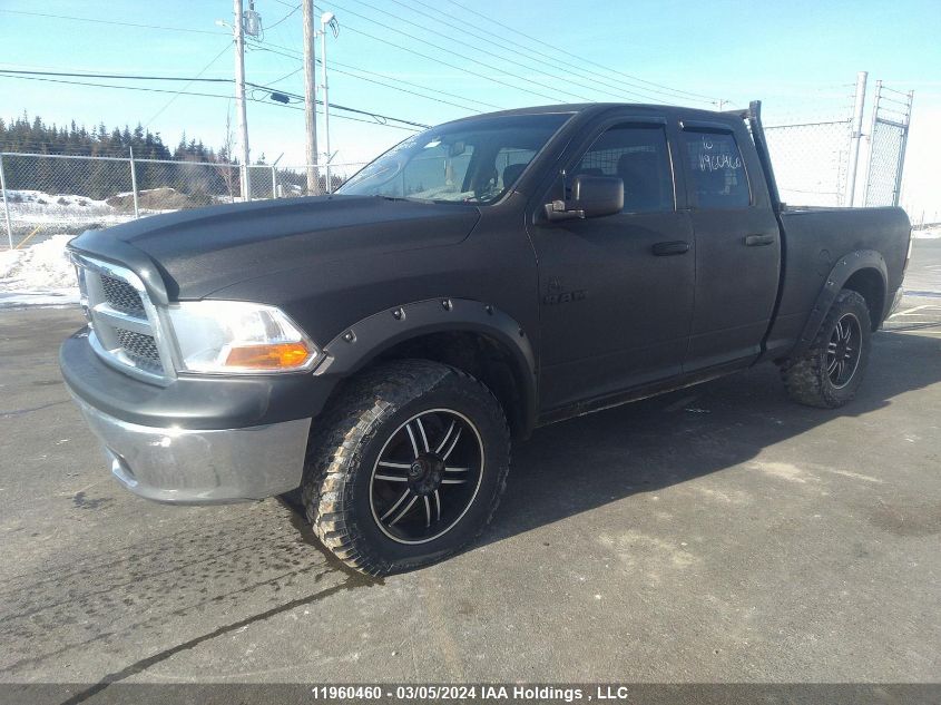 2010 Dodge Ram 1500 VIN: 1D7RV1GP9AS250933 Lot: 39259160
