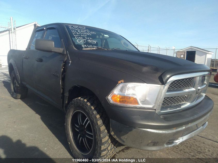 2010 Dodge Ram 1500 VIN: 1D7RV1GP9AS250933 Lot: 39259160