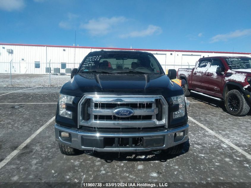 2016 Ford F150 Supercrew VIN: 1FTEW1E82GFC87583 Lot: 11960738