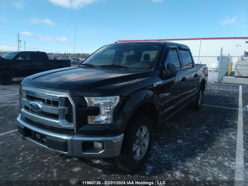 2016 Ford F150 Supercrew VIN: 1FTEW1E82GFC87583 Lot: 11960738