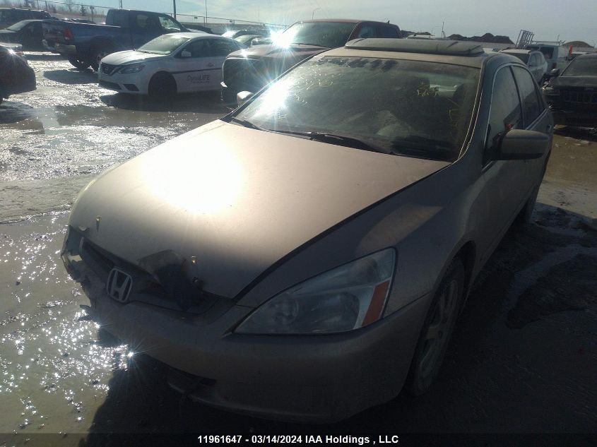 2005 Honda Accord Sdn VIN: 1HGCM665X5A803649 Lot: 11961647