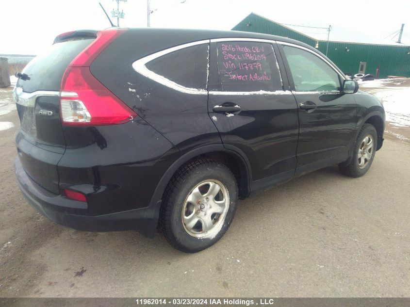 2016 Honda Cr-V VIN: 2HKRM4H39GH117879 Lot: 50881144