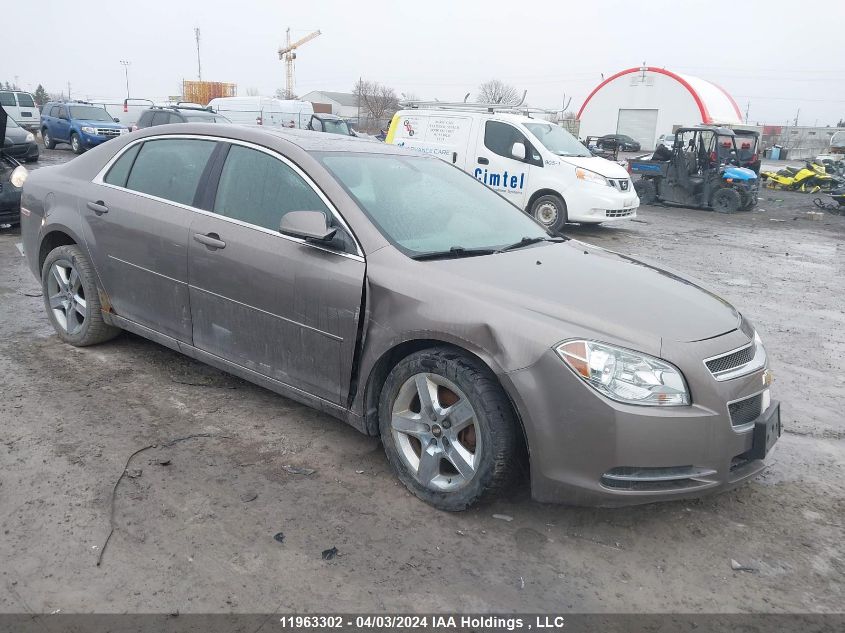 2010 Chevrolet Malibu 1Lt VIN: 1G1ZC5E07AF221252 Lot: 11963302