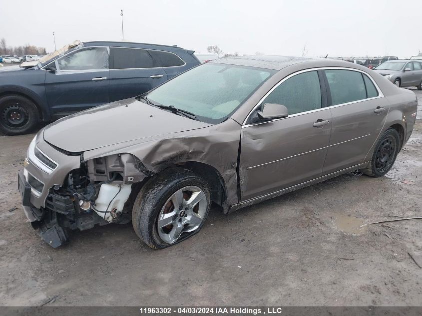 2010 Chevrolet Malibu 1Lt VIN: 1G1ZC5E07AF221252 Lot: 11963302