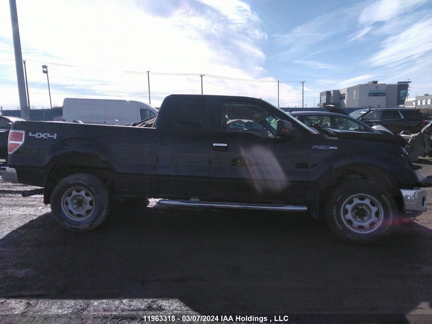 2009 Ford F-150 VIN: 1FTRX14809FA82346 Lot: 11963318