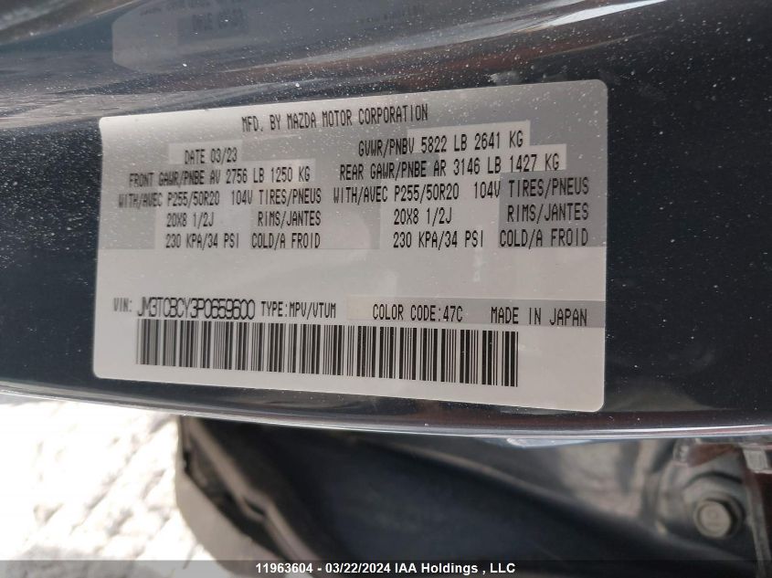 2023 Mazda Cx-9 VIN: JM3TCBCY3P0659600 Lot: 11963604