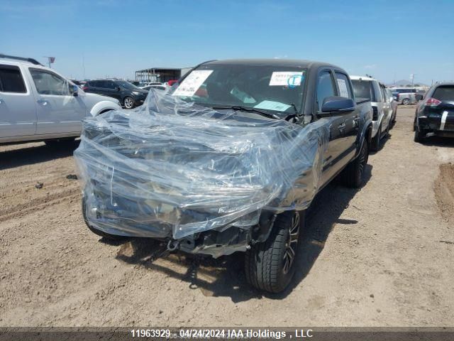 2021 Toyota Tacoma Nightshade VIN: 5TFCZ5AN2MX246636 Lot: 11963929