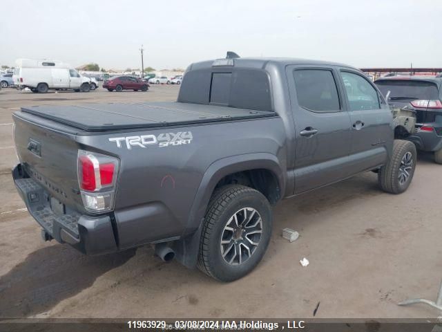 2021 Toyota Tacoma Nightshade VIN: 5TFCZ5AN2MX246636 Lot: 11963929