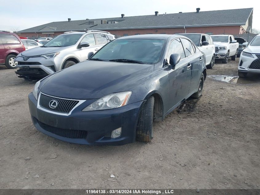 2006 Lexus Is 250 VIN: JTHBK262965019373 Lot: 39241293