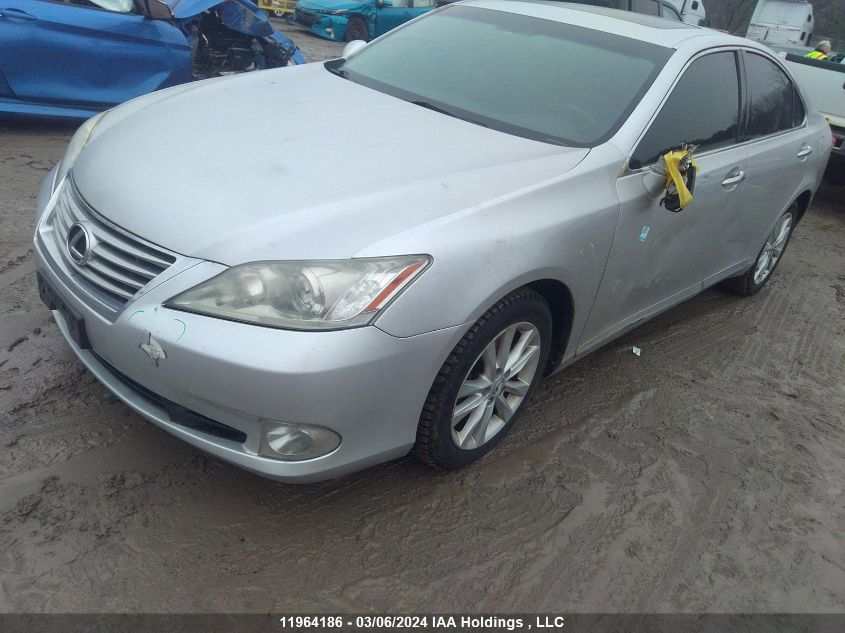 2011 Lexus Es 350 350 VIN: JTHBK1EG2B2420833 Lot: 11964186