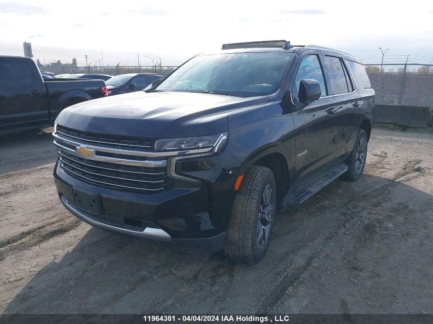 2023 Chevrolet Tahoe VIN: 1GNSKNKD3PR351790 Lot: 11964381