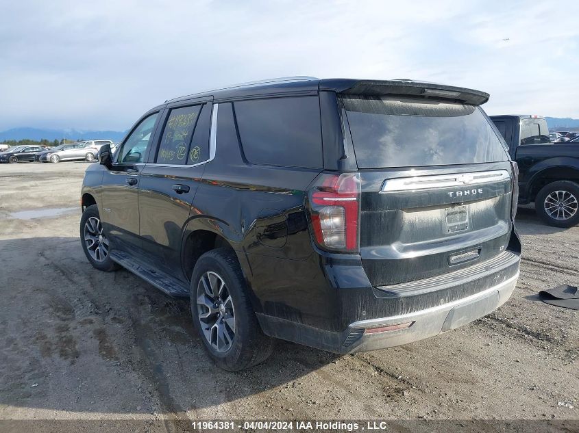 2023 Chevrolet Tahoe VIN: 1GNSKNKD3PR351790 Lot: 11964381