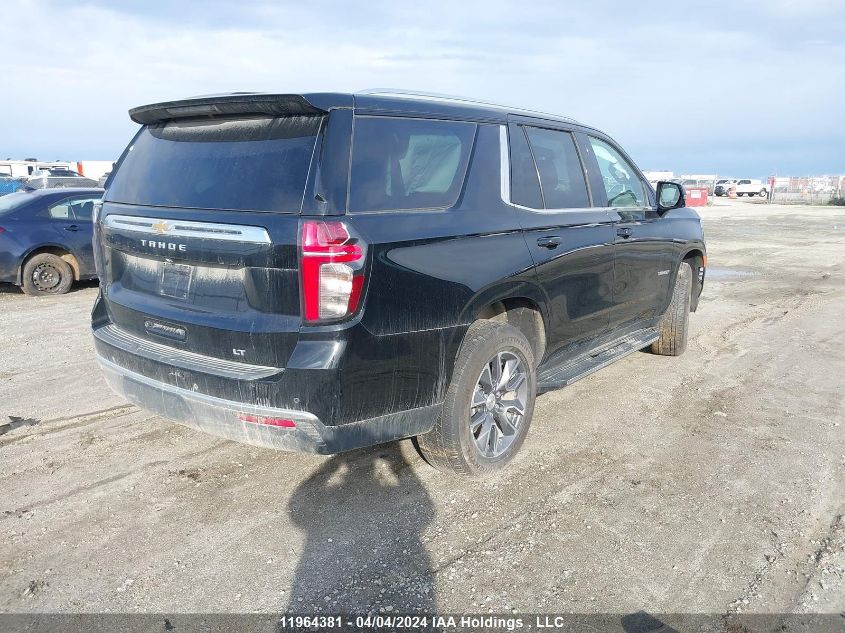 2023 Chevrolet Tahoe VIN: 1GNSKNKD3PR351790 Lot: 11964381