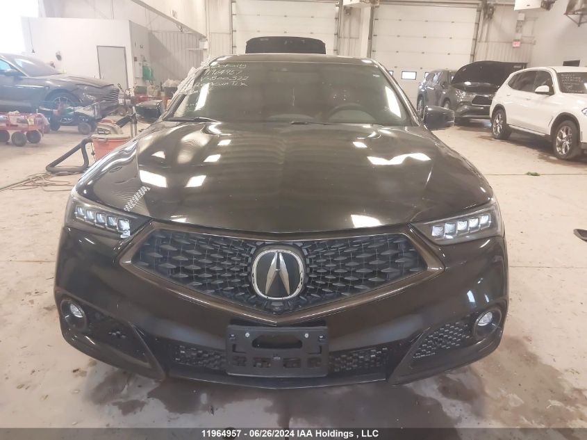 2020 Acura Tlx Advance/Pmc Edition VIN: 19UUB3F80LA800372 Lot: 11964957