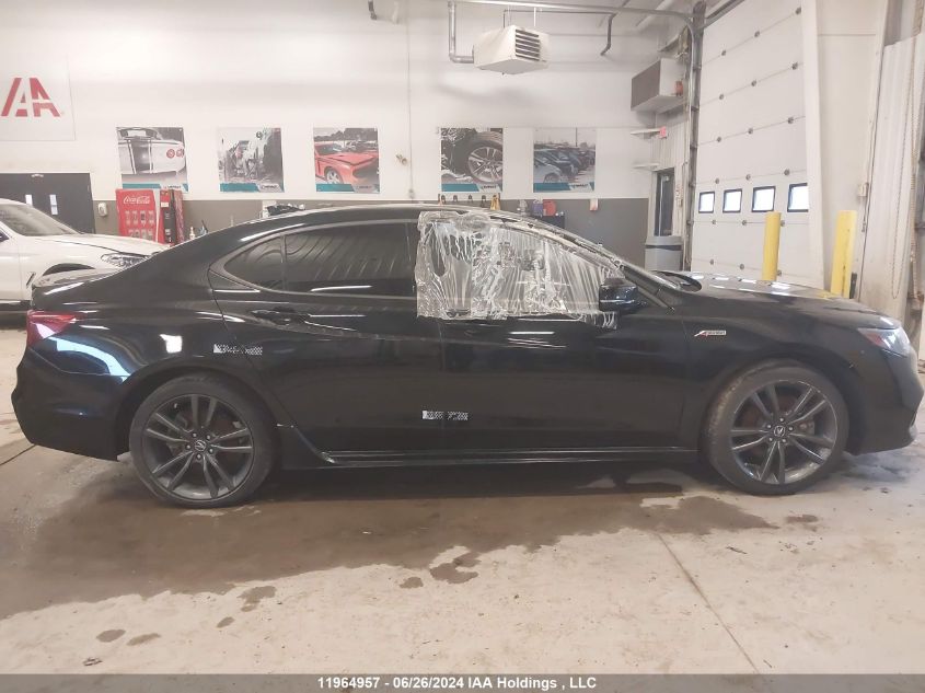 2020 Acura Tlx Advance/Pmc Edition VIN: 19UUB3F80LA800372 Lot: 11964957