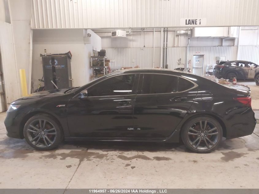 2020 Acura Tlx Advance/Pmc Edition VIN: 19UUB3F80LA800372 Lot: 11964957